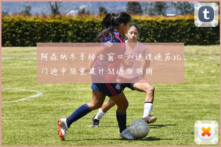 阿森纳冬季转会窗口加速追逐苏比门迪中场重建计划逐渐明朗