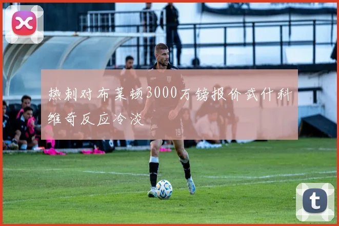 热刺对布莱顿3000万镑报价武什科维奇反应冷淡