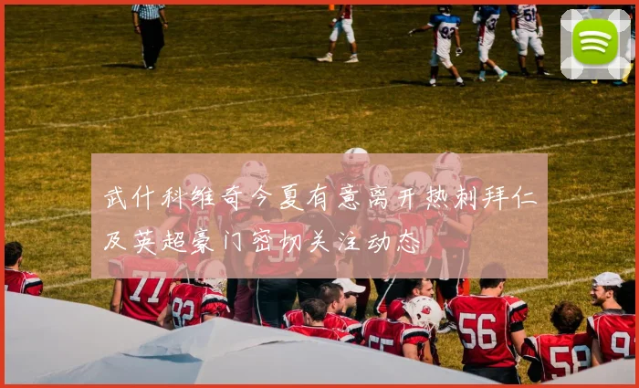 武什科维奇今夏有意离开热刺拜仁及英超豪门密切关注动态